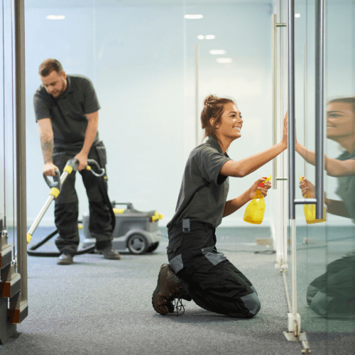 Experienced Window Cleaner Perth | Tapiscleaning