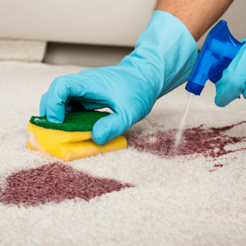 Professional carpet cleaner steam cleaning a living room in Perth