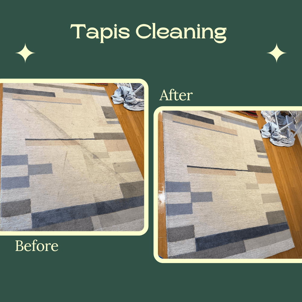 Rug Cleaning Perth – Deep Clean Before & After Finish