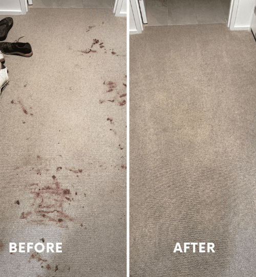 Professional carpet cleaning in Perth removing tough stains and restoring carpet condition for end of lease.
