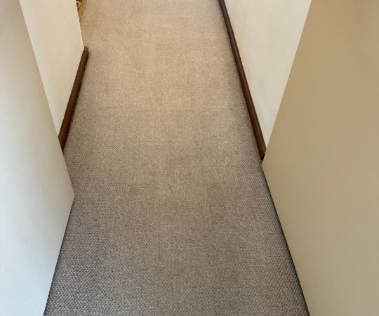 Carpet steam cleaning Hamilton Hill Perth – fresh and spotless result.