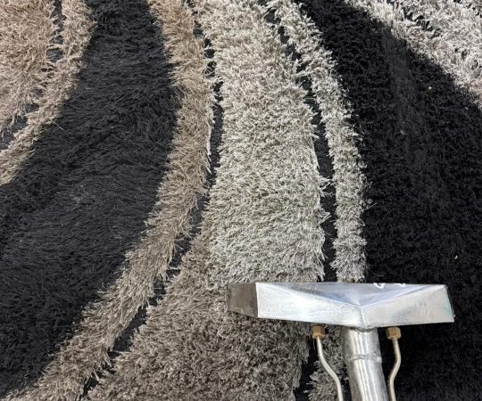 WhatsApp Image 2025-09-09 at 6.11.24 PM